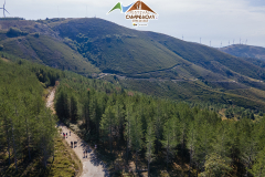 DJI_0297-copy